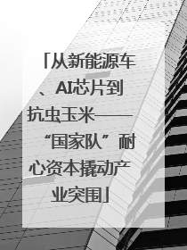 从新能源车、AI芯片到抗虫玉米——“国家队”耐心资本撬动产业突围